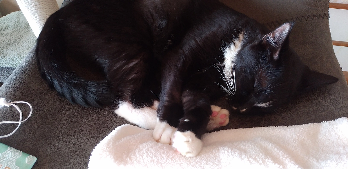 10/10はなちゃんの様子