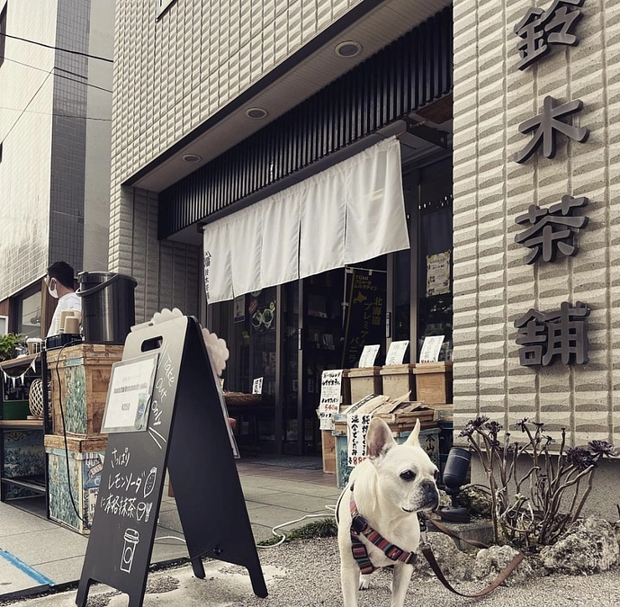 協力店舗紹介　鈴木茶舗さま