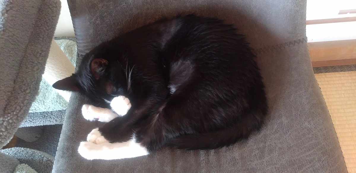 10/11はなちゃんの様子