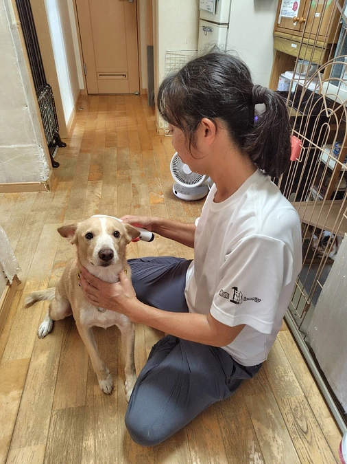 ボランティアの胸のうち⑥ やりがいをありがとう