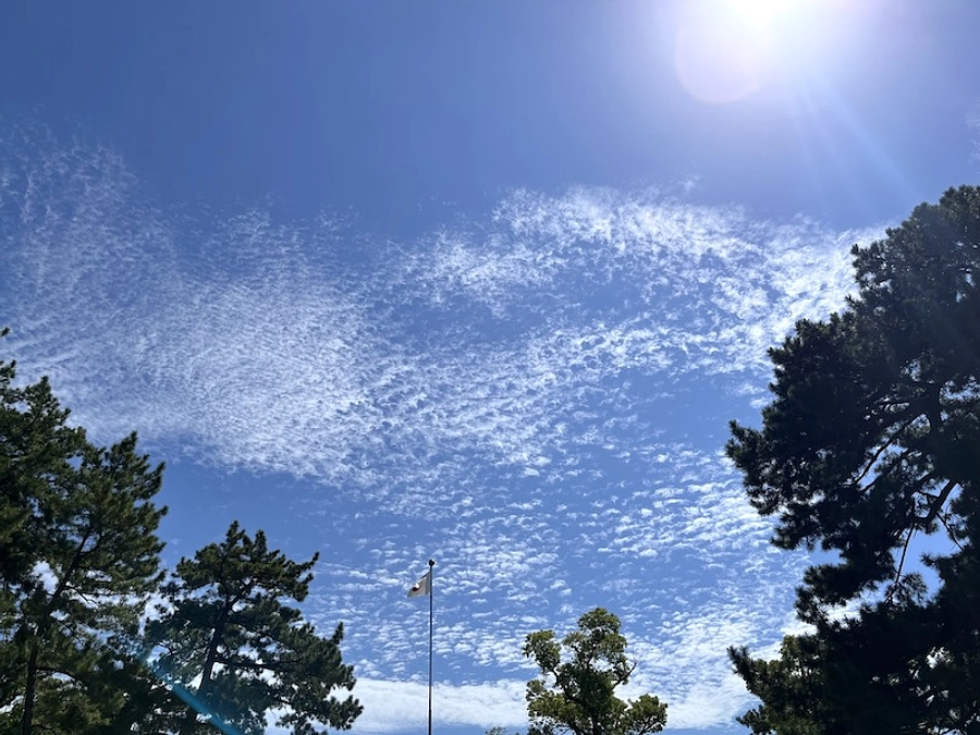 50万円突破しました！