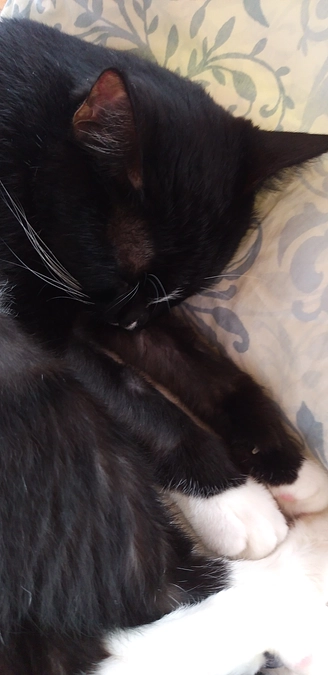 9/30はなちゃんの様子