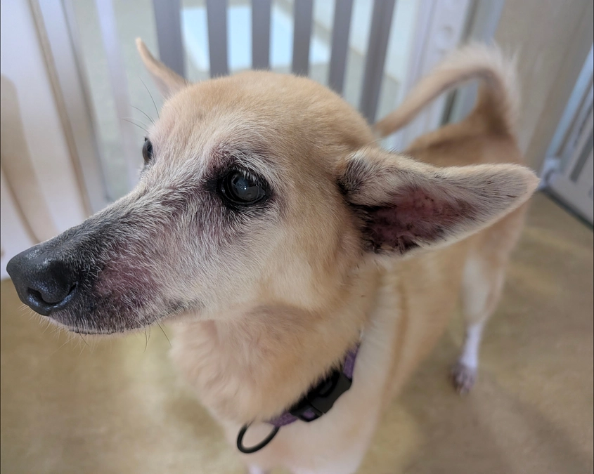 シェルターの活動報告