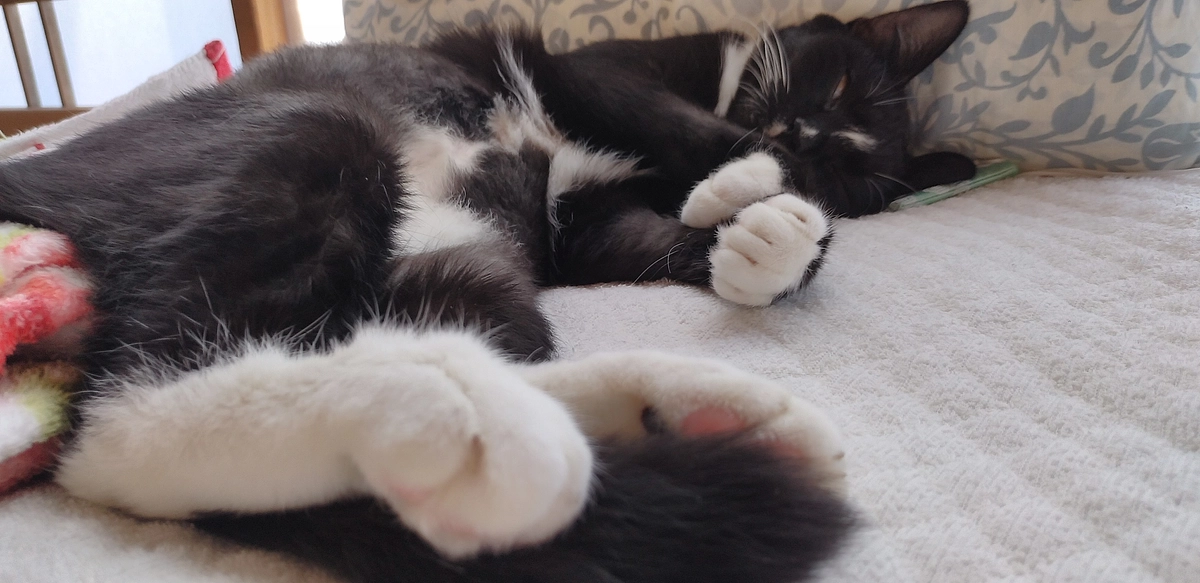 10/1はなちゃんの様子