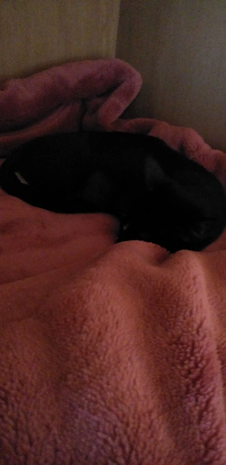 10/3はなちゃんの様子