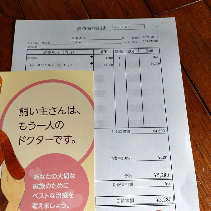 頑張る　ブチャ君💕