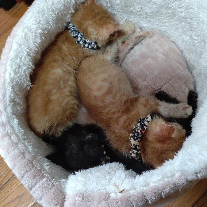 やっと　ねんね💤