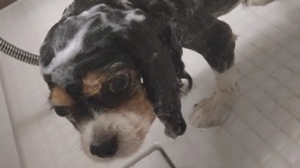 9月21日かかりつけ受診