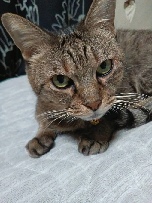 9月21日＜投薬74日目＞