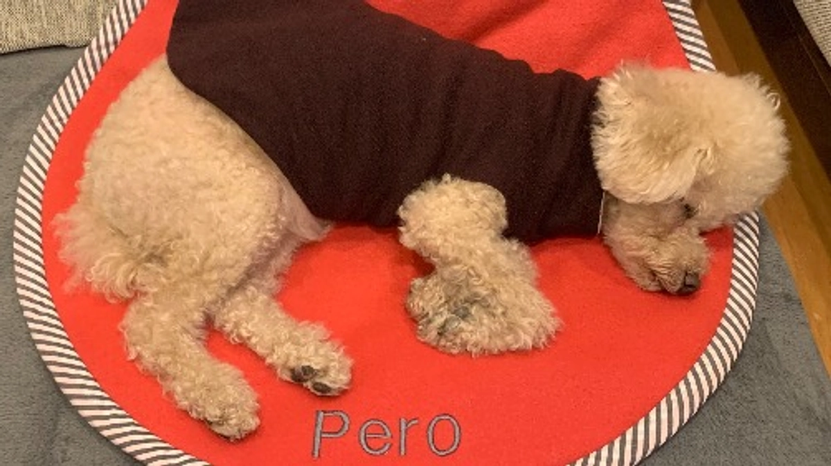 寒くなってきましたね