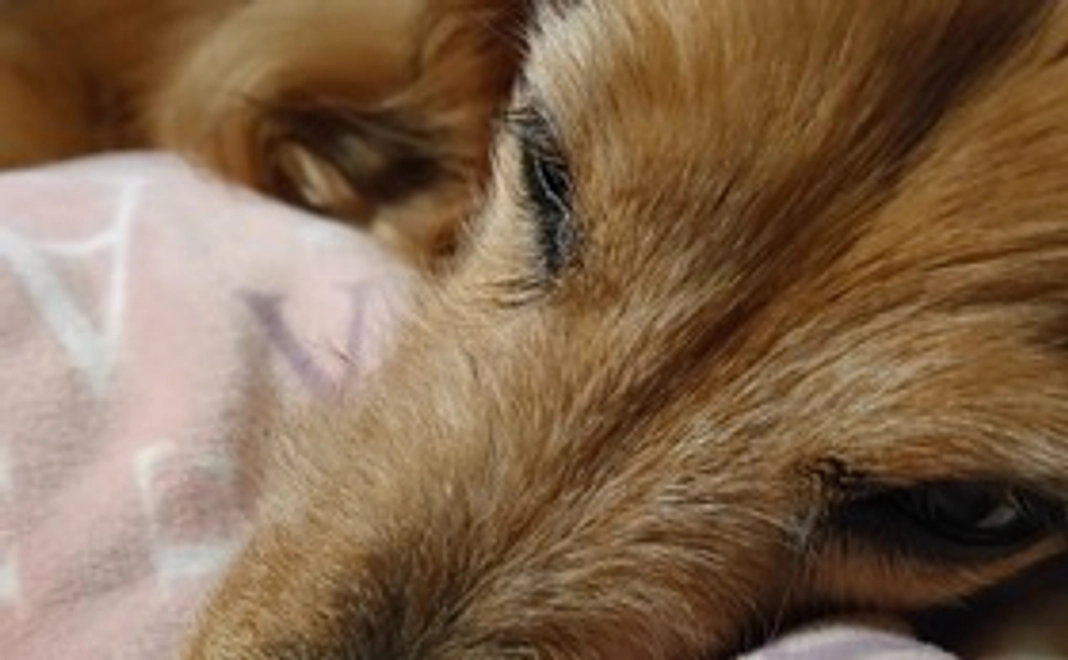 心から感謝します２