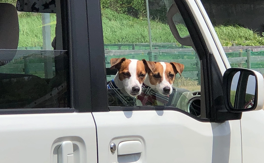 リーくん応援【1】