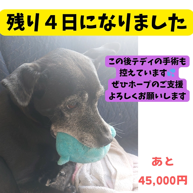 残り4日、あと45,000円です