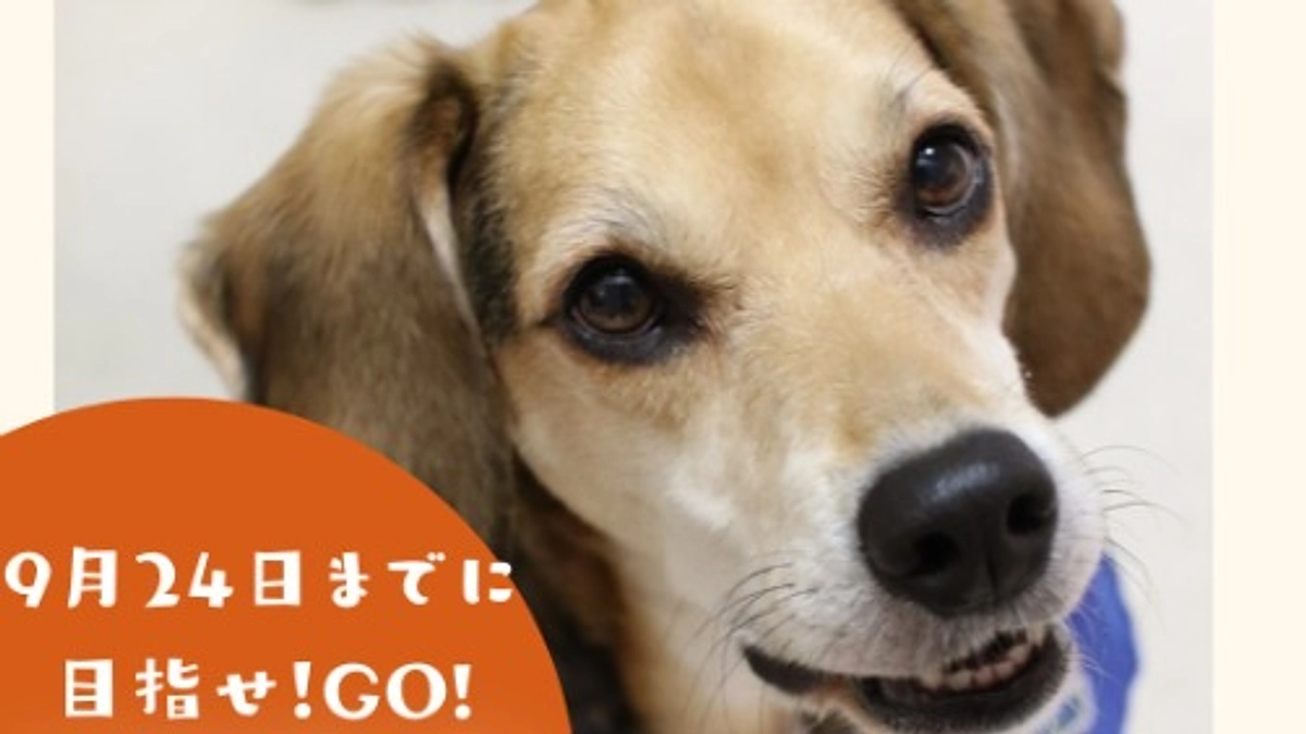 あたたかい応援コメントに心から励まされています。感謝です！！