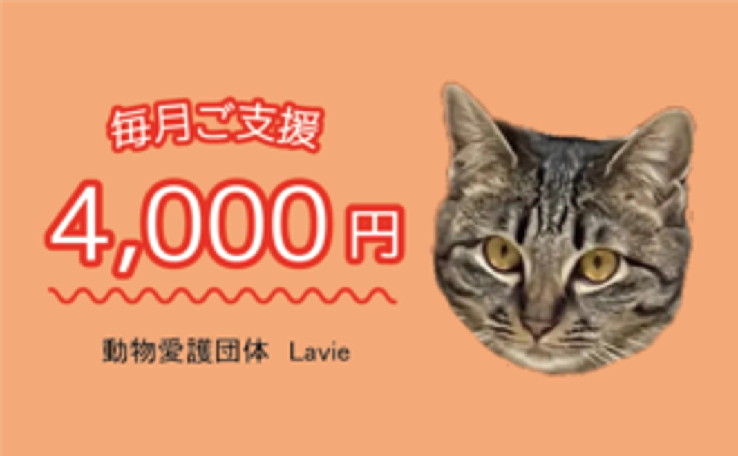 毎月ご支援　4,000円コース