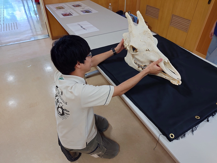 世界カメ＆カワウソ＆キリンの日開催しました！