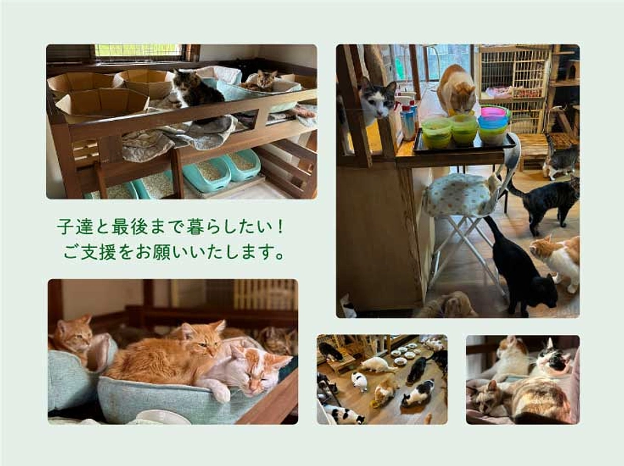 新たなご支援のお願い/１２月１９日（木）クラウドファンディングを公開します