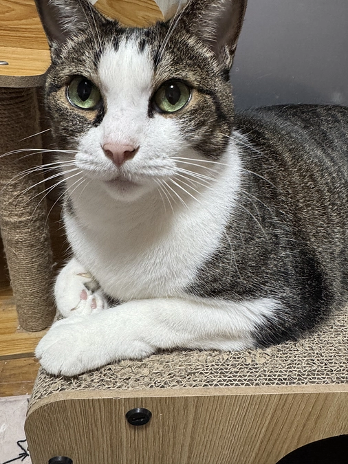 8月の費用と現状報告になります