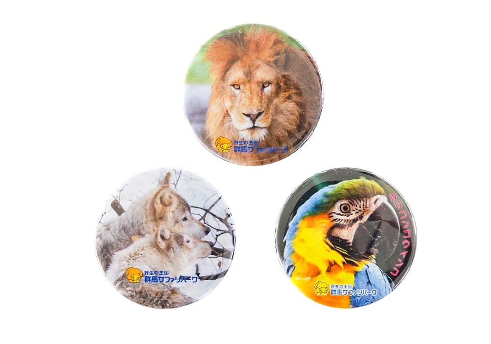 2月5日(月) 進捗報告・返礼品紹介～缶バッジ100個セット～