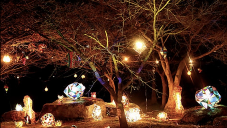 春日部で、夜親子で参加できる「おとぎの森のカーニバル」開催!