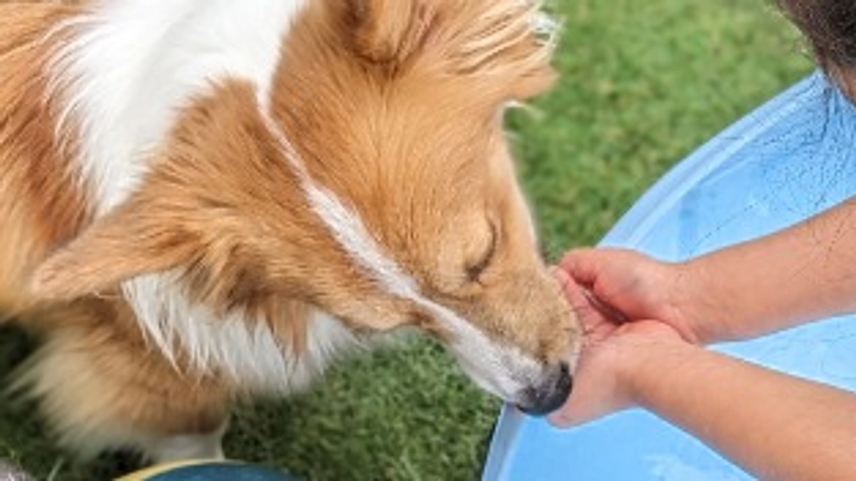 インスタに動画をアップしました。