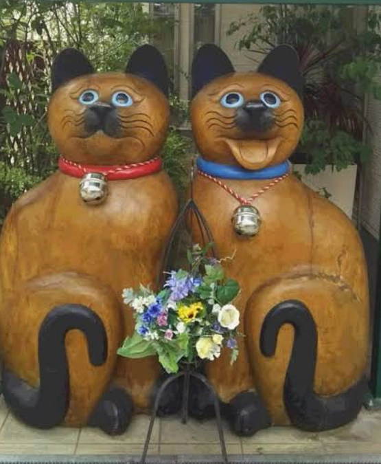 【あと１週間】だけのお願いでチラシ置かせて頂きました❤️