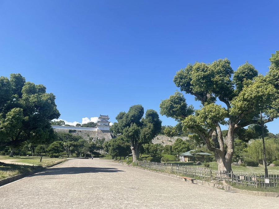 【研究秘話】資料調査時に活用した図書館（兵庫編）