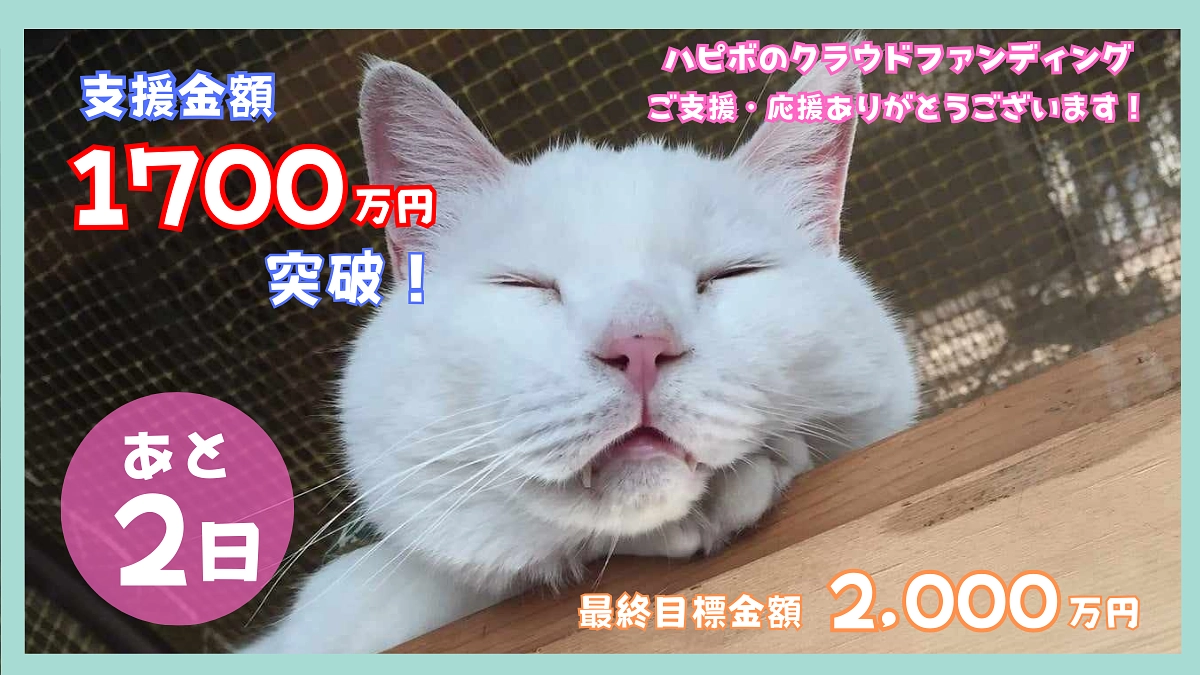 【ついに1700万円突破！！】あと2日です！活動が不要となる未来にむけて！託された思いに応えるために