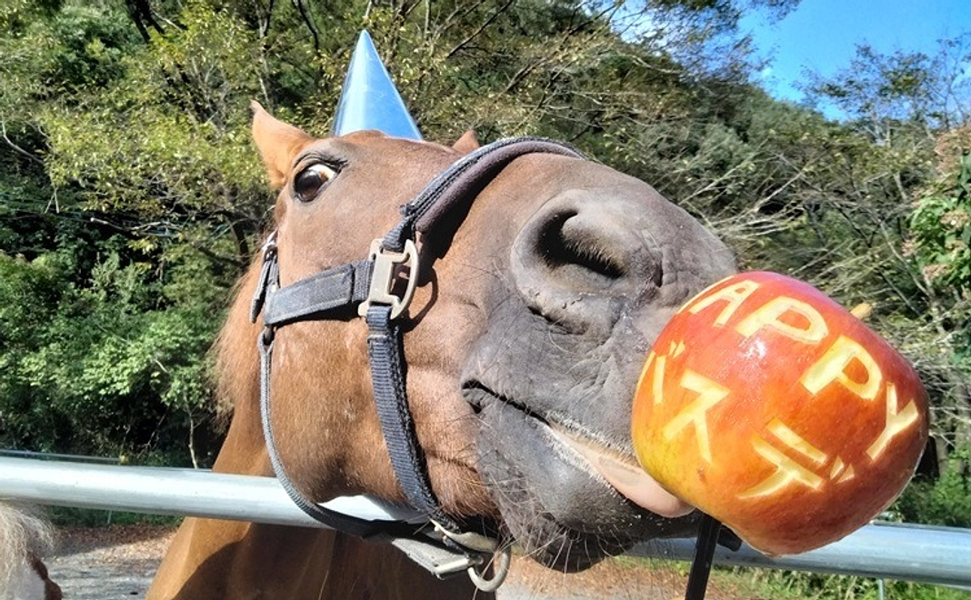 紡ぎっ子サポーター|10000円