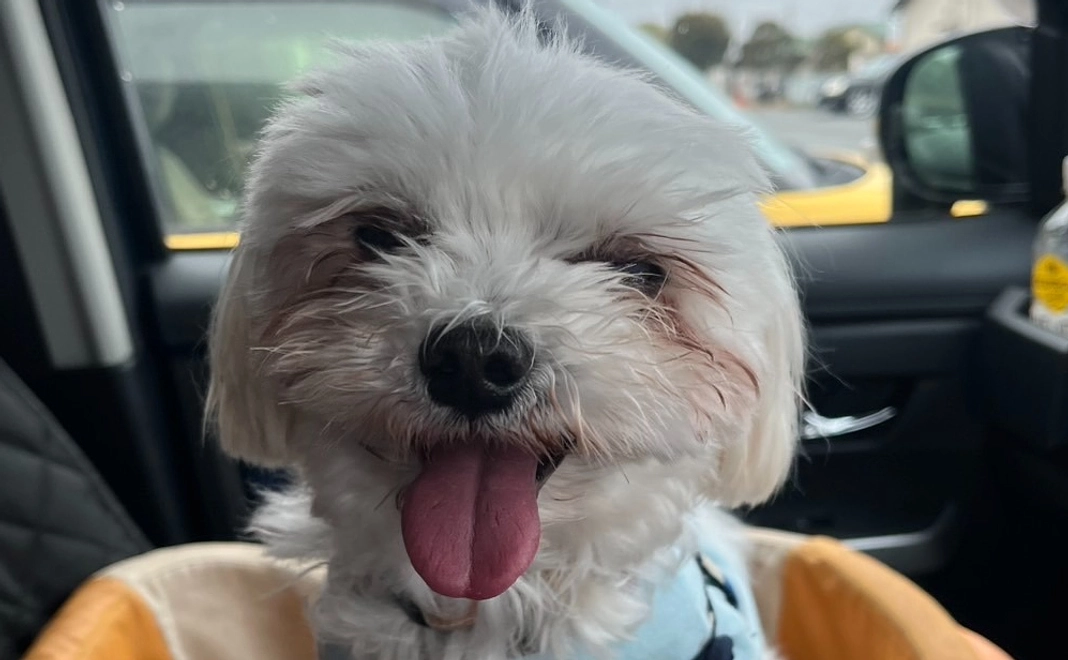 のわくんへのご支援ありがとうございます①