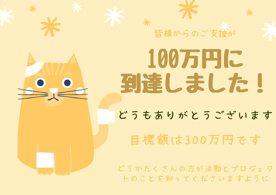 第6弾プロジェクト【100万円突破！】どうもありがとうございます