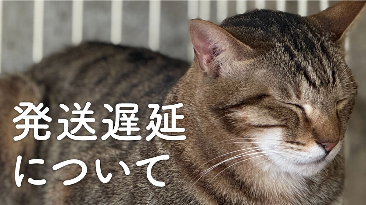 リターン品の発送スケジュールについて