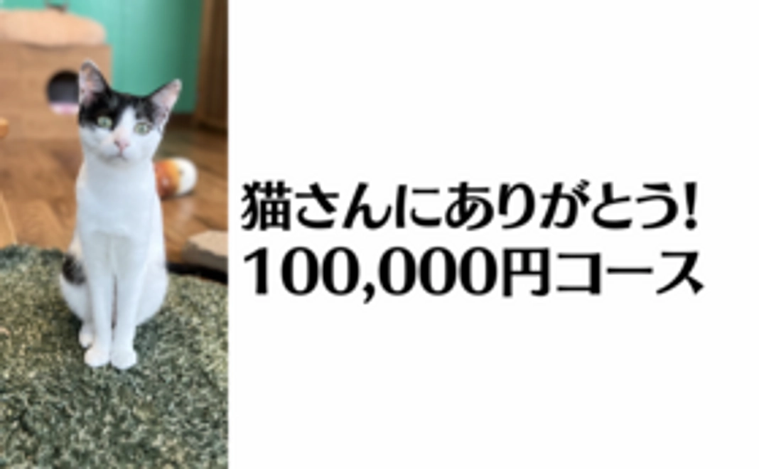 猫さんにありがとう10万円コース