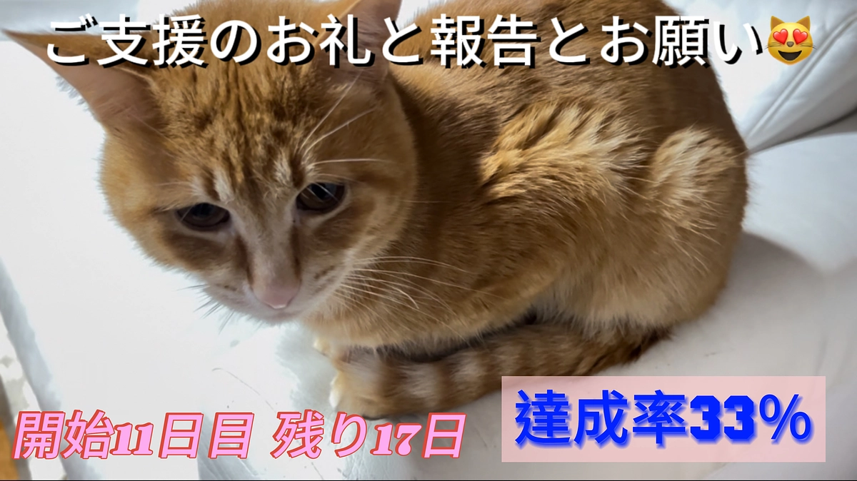 ご支援のお礼と報告とお願い（3/10分）
