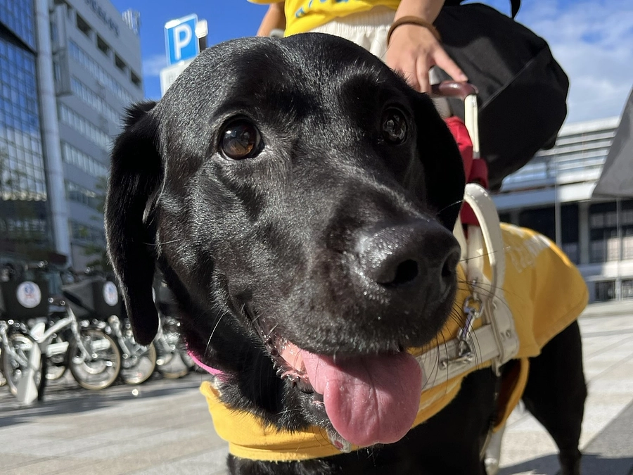 100％達成！！！✨本当にありがとうございます！！