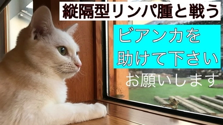 縦隔型リンパ腫と戦うビアンカ。寄付をお願い致します。