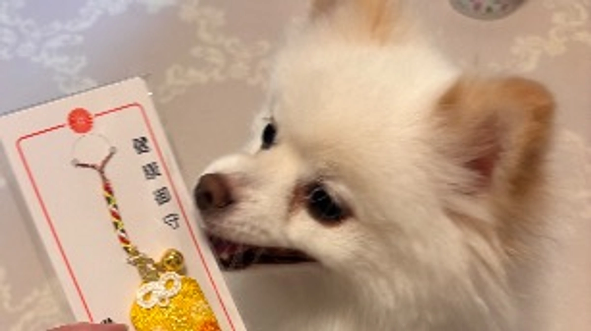 💫明日、手術💫