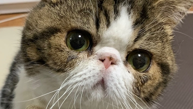 天乃助を助けてください。