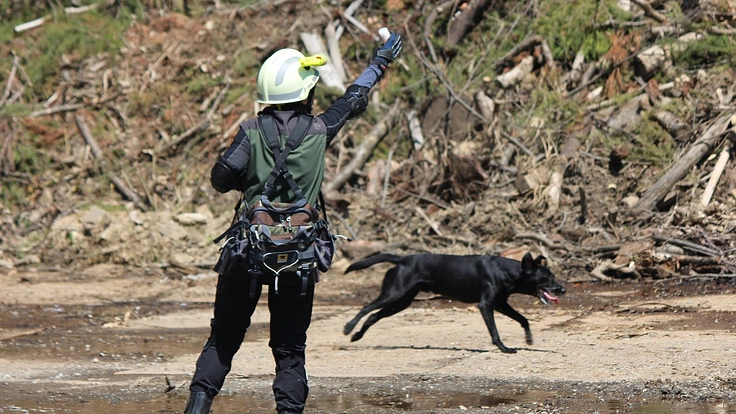 長岡市、見附市の HOT DOG CLUBが犬と人との共生を目指す