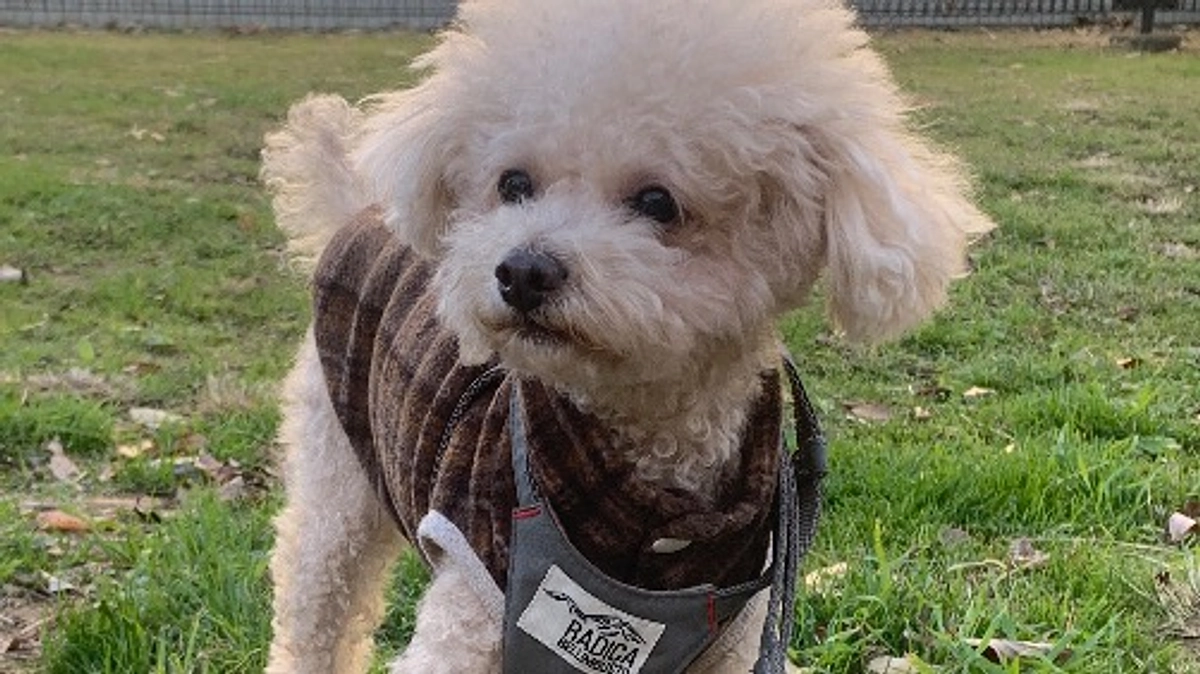 手術まであと10日