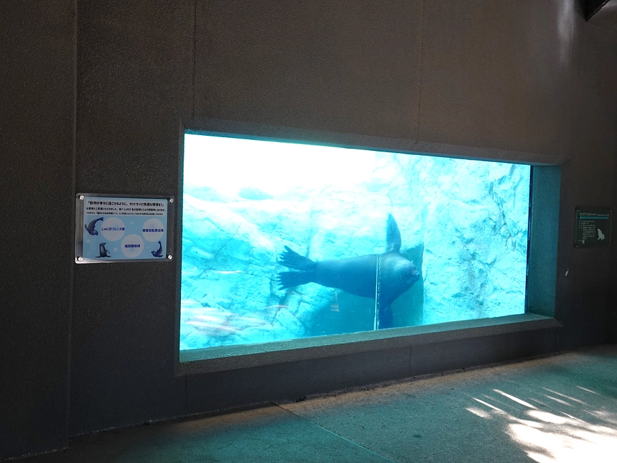 【掲示いたしました！】園内にお名前掲載