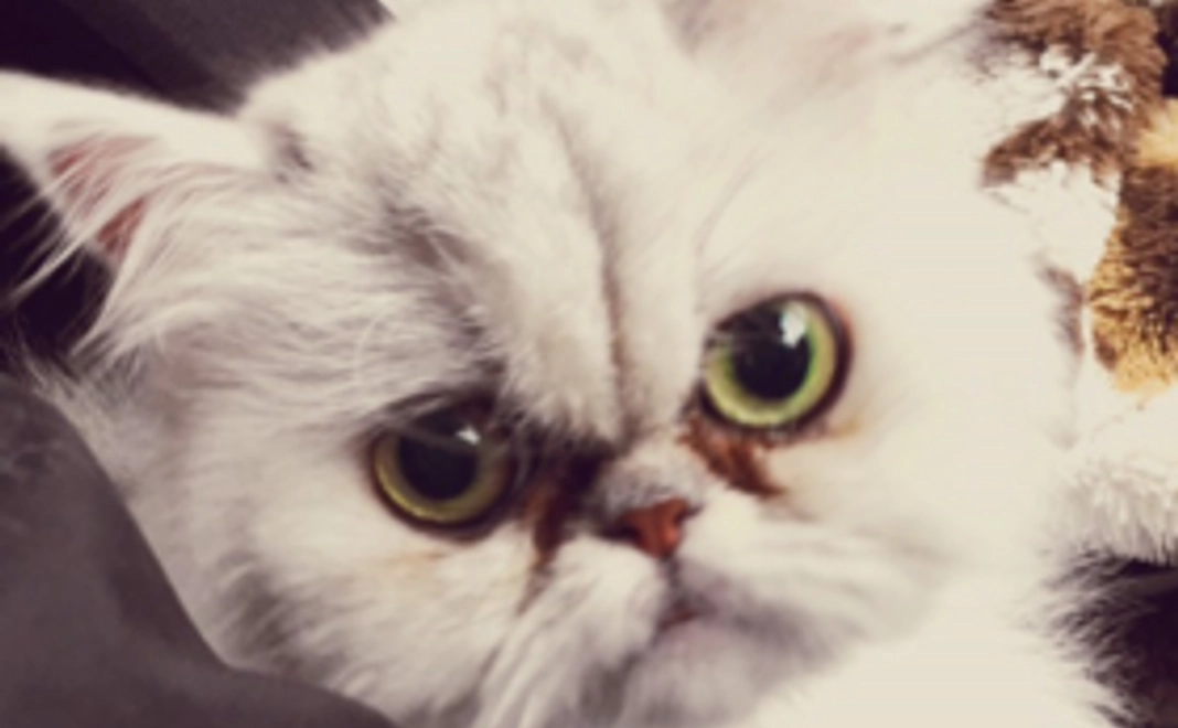 ララちゃん頑張って！お手紙でのお礼