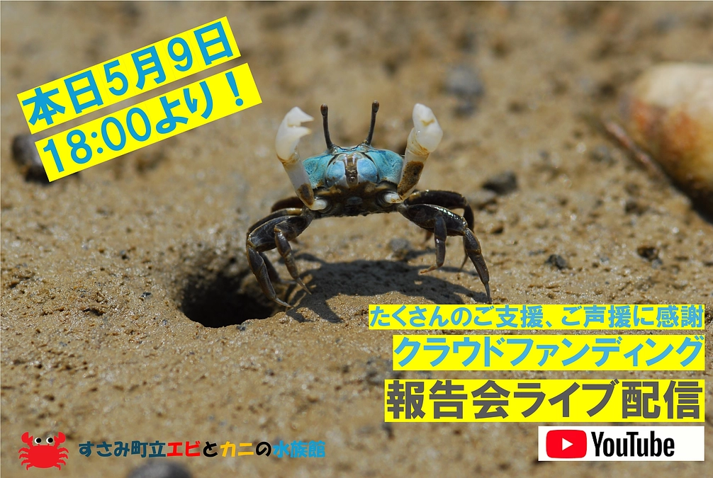 本日5月9日　18時より　ご報告と感謝を込めてライブ配信を行います！