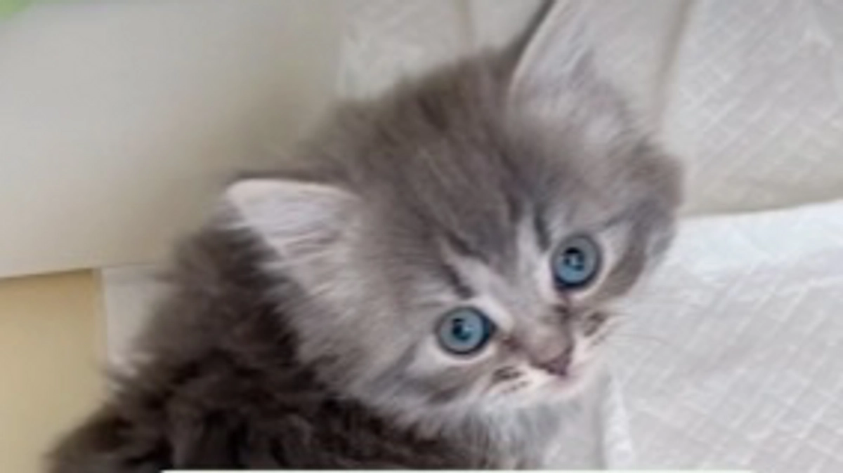 9/26  闘病30日目