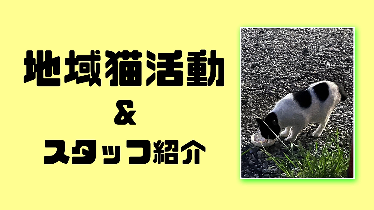 【日々の活動とアリススタッフ紹介NO,１】
