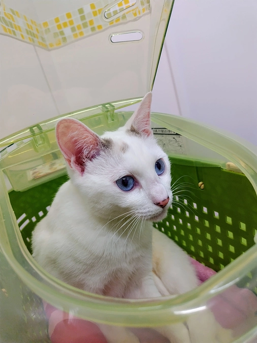 受診日🏥＆プレゼントをいただきました🎁