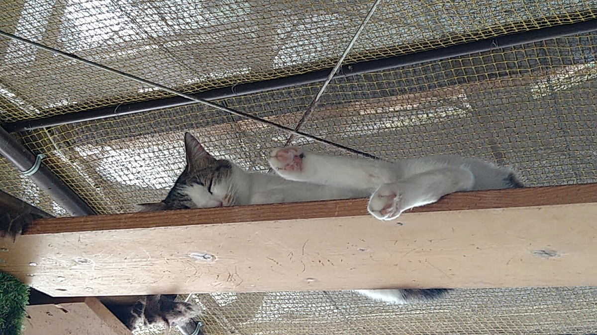 【進捗情報②】お礼メールにつきまして(スタッフブログより)