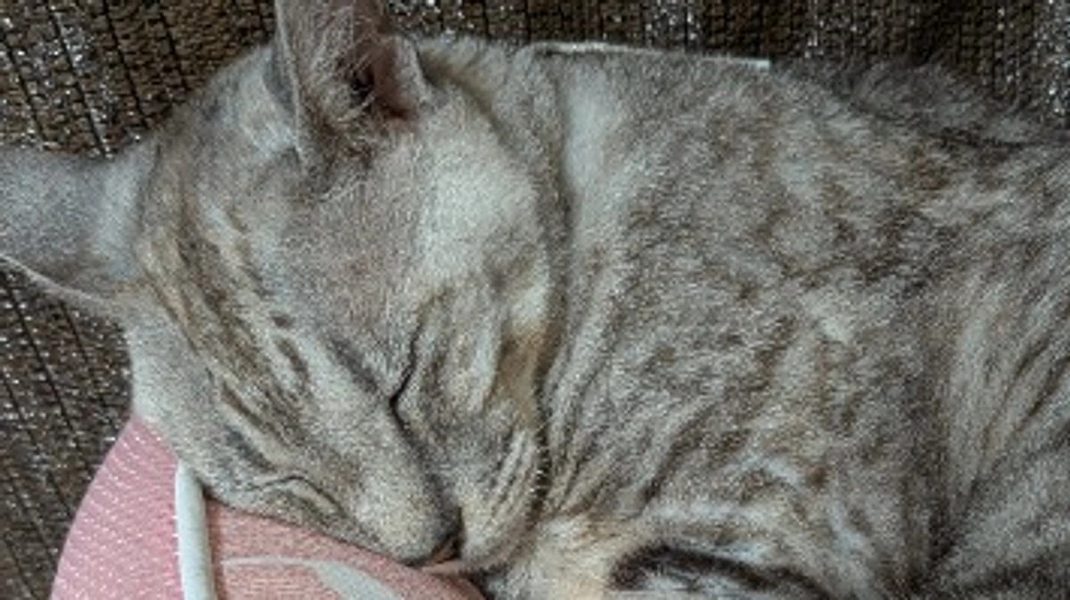 昨日退院しました