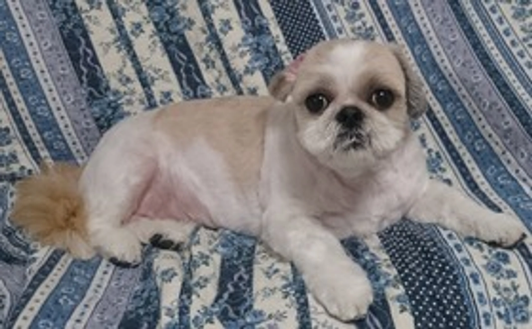 感謝の気持ちを込めて、お礼のメールをお送りさせていただきます。2