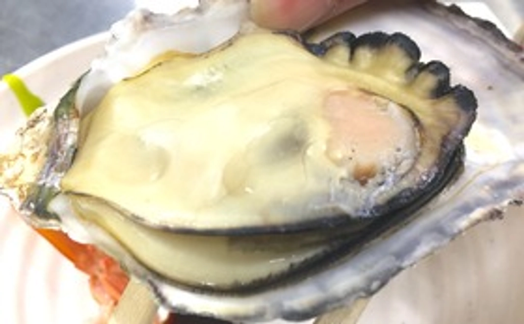 【波有手の牡蠣】交換チケット【来期分】※追加リターン